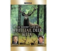 The Secret Life of Whitetail Deer and Elk [USA] [DVD]