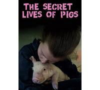 The Secret Lives of Pigs [USA] [DVD]