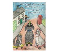 The Secret Missions of Miff, Dip and Ted: Skateboards and Scarecrows