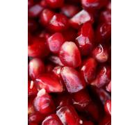 The Seed of Life: From the Darkness of the Earth to the Light of Consciousness (Risonanze e Somiglianze)