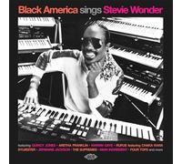 The Seeds - Black America Sings Stevie Wonder [Vinilo]