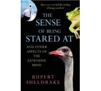 The Sense Of Being Stared At (ebook)