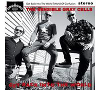 The Sensible Gray Cells - Get Back Into The World/World of Confusion [VINYL] [Vinilo]