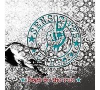 the Sensitives - Dogs on the Run