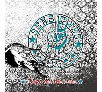 The Sensitives - Dogs On The Run (Lim.Green Vinyl) [Vinilo]