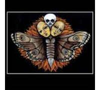 The Sevens Collective - A Too Much Divided Heart