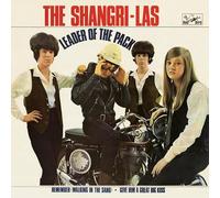 The shangri-las - Leader of the pack