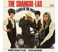 The shangri-las - Leader of the pack