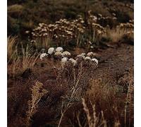 The Shaolin Afronauts - The Fundamental Nature of Being, Part Two [Import] [Vinilo]