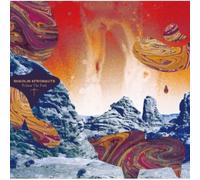 The Shaolin Afronauts - Third Album