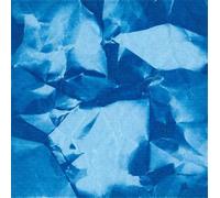 The Shape Of Things That Never Came [Vinilo]