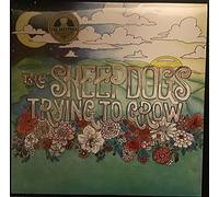 THE SHEEPDOGS - TRYING TO GROW (1 LP)