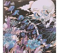 The Shins The Worm's Heart (Vinyl) 12" Album