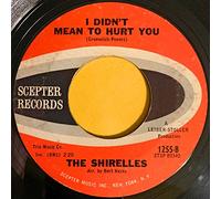 THE SHIRELLES 45 RPM DON'T SAY GOODBYE AND MEAN GOODBYE / I DIDN'T MEAN TO HURT YOU