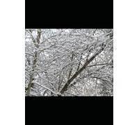 The Signal Beneath Biwa: The Frequency That Should Not Exist Beneath the Lake (THE SIGNAL BENEATH BIWA - BOOK 1 OF THE SIGNAL SERIES)