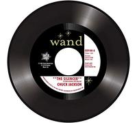 The Silencer / Little by Little [Vinilo]