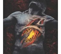 The Sin of Human Frailty [Vinilo]