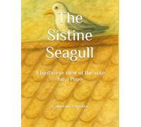 The Sistine Seagull: A bird's-eye view of the vote for a Pope