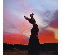 The Sky Is Bleeding [Vinilo]