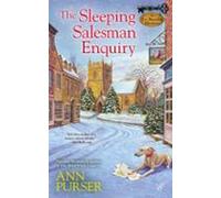 The Sleeping Salesman Enquiry (ebook)