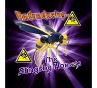 The Slingsby Hornets - Introducing The Fantastic Sounds Of...