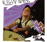 The Slow Break - Inside the Dark Mountain (US Import)