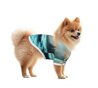 The Snow Capped Mountains at Sunrise - Camisa de malla para perro, ligera y transpirable, de secado rápido, elástica, para perros pequeños