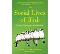 The Social Lives Of Birds (ebook)
