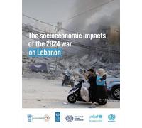 The Socioeconomic Impacts of the 2024 War on Lebanon