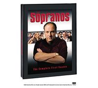 The Sopranos: The Complete First Season [USA] [DVD]