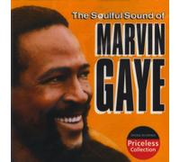 The Soulful Sound of Marvin Gaye