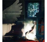 The Sound Of Her Wings