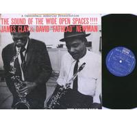 The Sound of the Wide Open Spaces [Vinyl]