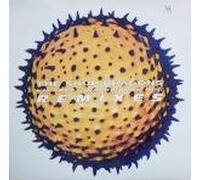 The Soup Dragons - I'm Free / Backwards Dog Remixes - Raw TV Products