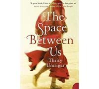 The Space Between Us: A powerful contemporary literary historical fiction novel exploring timeless themes