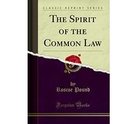 The Spirit of the Common Law (Classic Reprint)