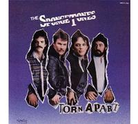 The Spongetones - Torn Apart