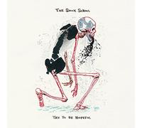 The Spook School - Try to Be Hopeful [VINYL] [Vinilo]