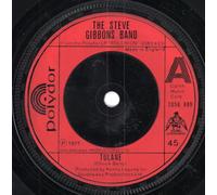 The Steve Gibbons Band - Tulane