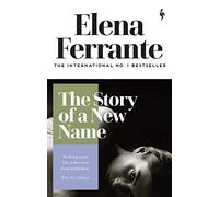 The Story Of a New Name: Book Two: Youth (The Neapolitan novels, 2)