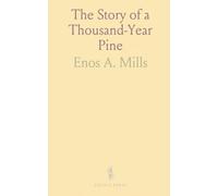The Story of a Thousand-Year Pine