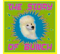 The Story Of Bunch