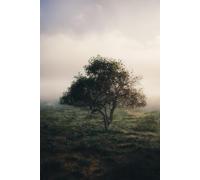 The Story of You: Questions to preserve the memories that matter most