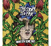 The story so far - What you don't see [Vinilo]