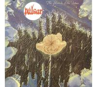 The Strands Of The Future by PULSAR