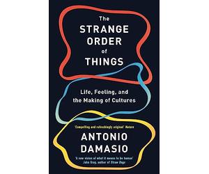 The Strange Order Of Things: Life, Feeling and the Making of Cultures