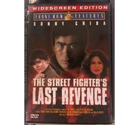 The Street Fighter's Last Revenge