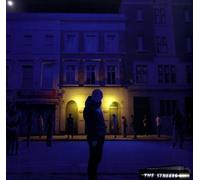 The Streets The Darker the Shadow the Brighter the Light (Vinyl) 12" Album