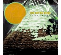 The Strike Boys - Sundowner [Vinilo]