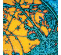 The Strokes – Is This It – Vinilo (Importación USA)